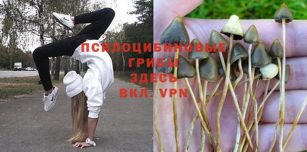 бошки Белоозёрский