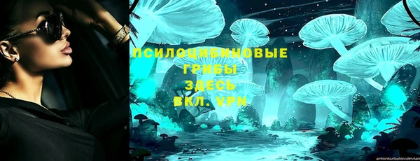 твердый Белокуриха